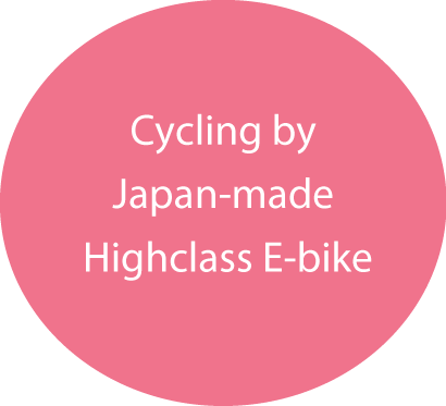 Japan-made e-bike